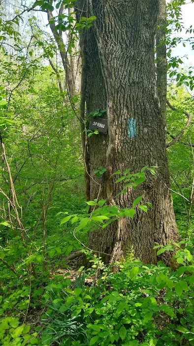 Mosby Campsite 7