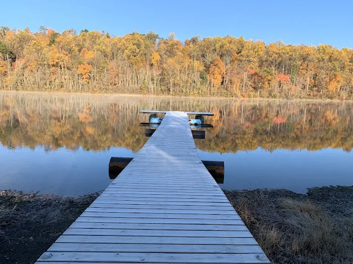 The Cove Campground 1