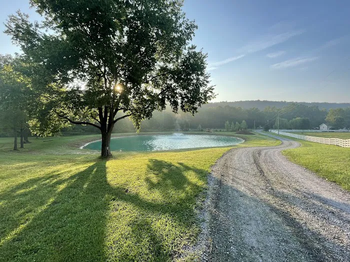 The Bluffs at Cedar Creek 6