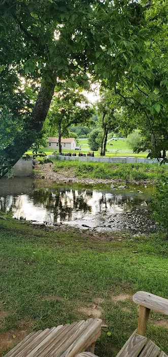 The Bluffs at Cedar Creek 9