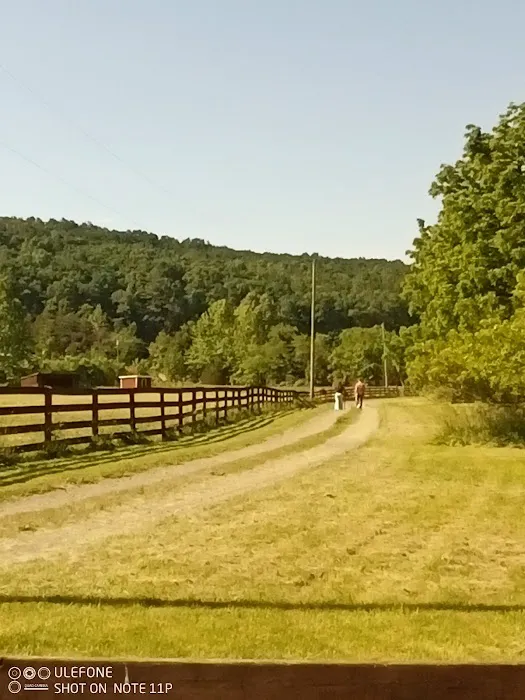 Double Spur Outfitters 3