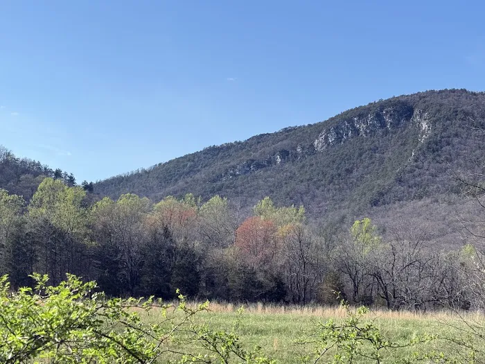 Double Spur Outfitters 8