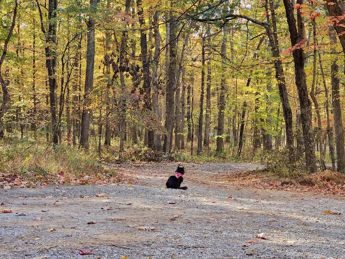 Hawk Recreation Area 9