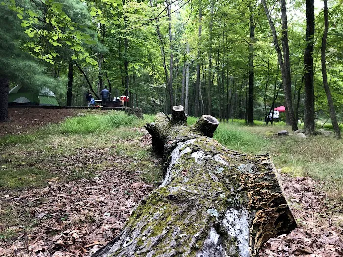 Trout Pond Campground 0