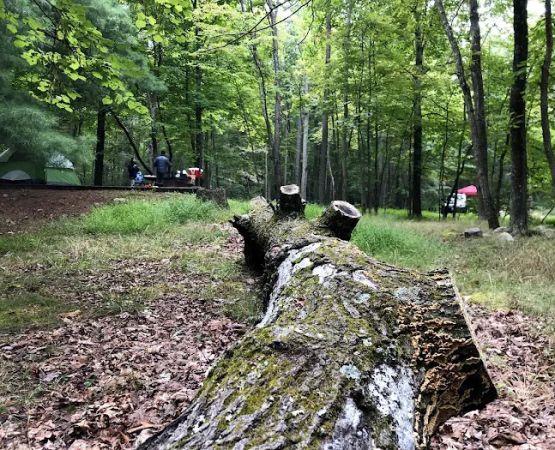 Trout Pond Campground