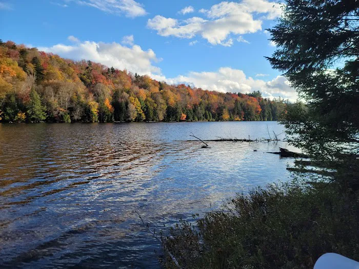 Trout Pond Campground 1