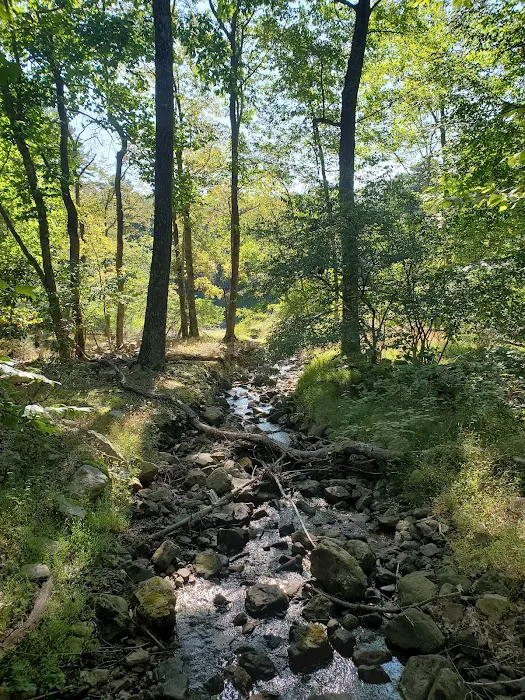 Trout Pond Campground 4