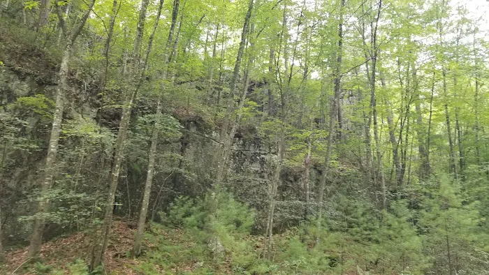 Trout Pond Campground 6