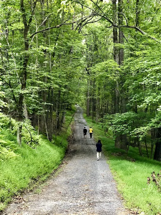 Trout Pond Campground 8