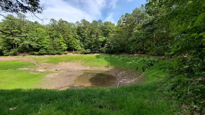 Trout Pond Campground 9
