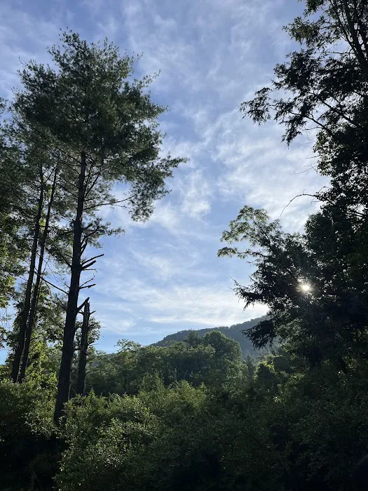 Big Bend Campground 5