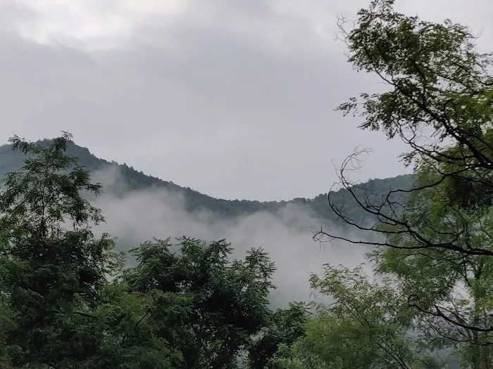 Big Bend Campground 6