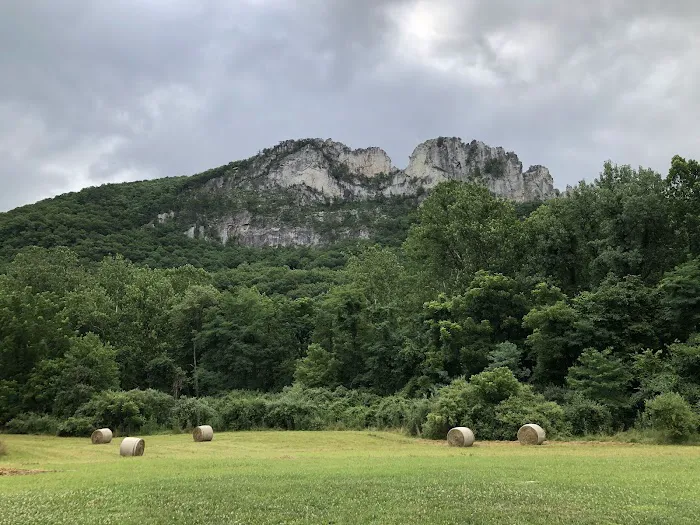Seneca Shadows Campground 2