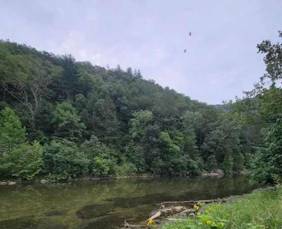 Jess Judy Group Campground