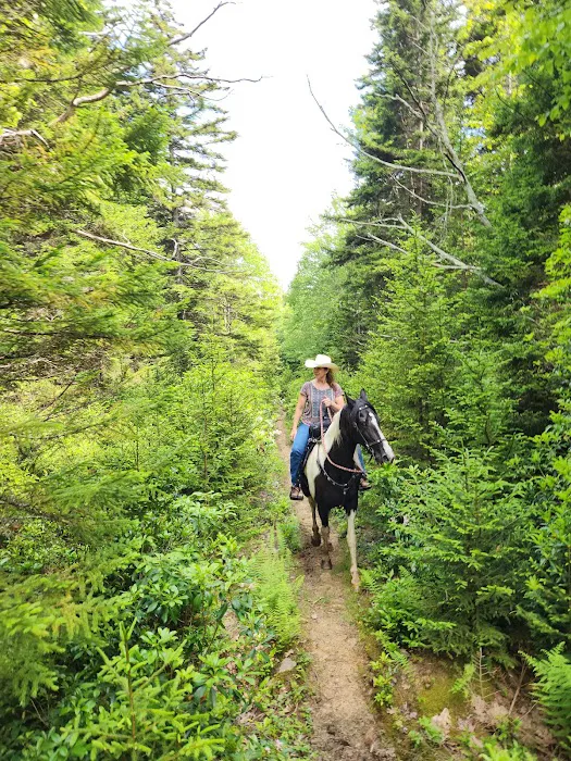 Wrangler Meadow Horse Camp 3