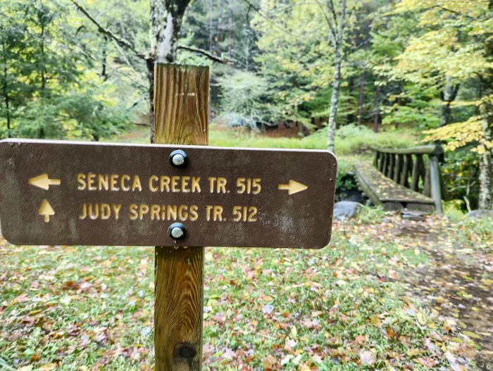 Judy Springs Campground 2