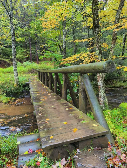 Judy Springs Campground 1