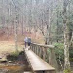 Judy Springs Campground