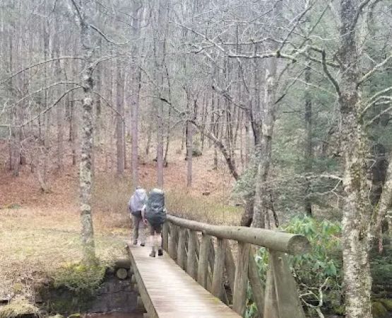 Judy Springs Campground