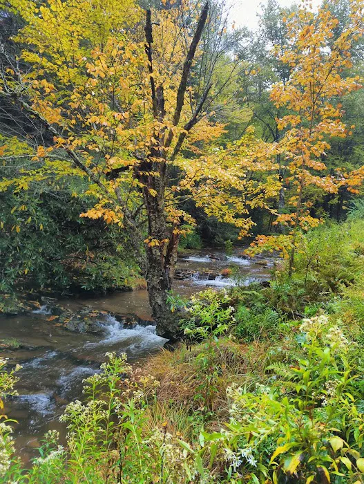 Judy Springs Campground 5
