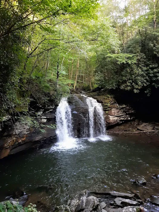 Judy Springs Campground 3
