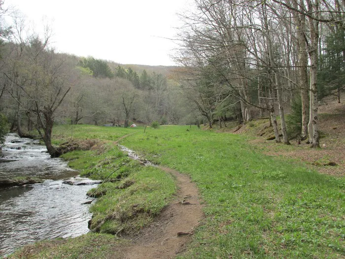 Judy Springs Campground 7