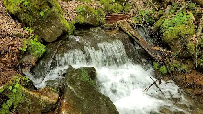 Judy Springs Campground 9