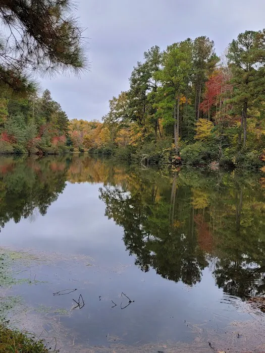 Chesapeake Bay RV Resort 8