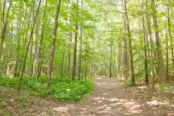 Thousand Trails Chesapeake Bay 0