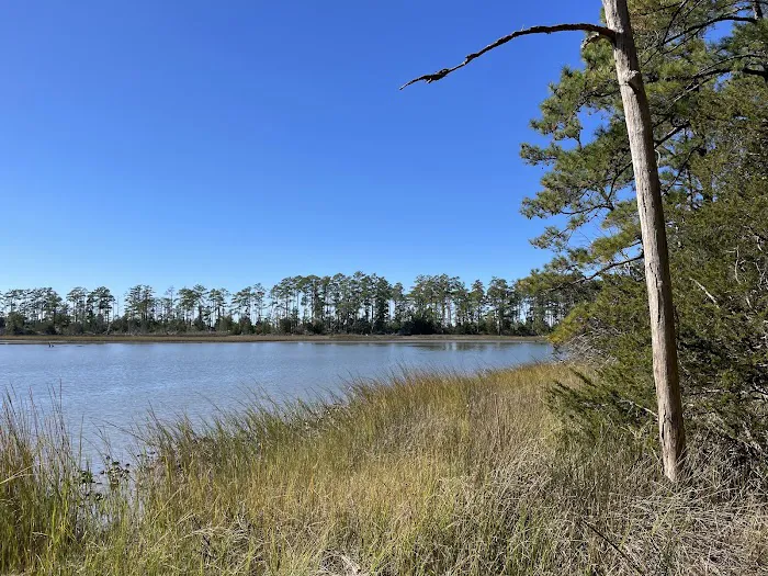Machicomoco State Park Campground 0