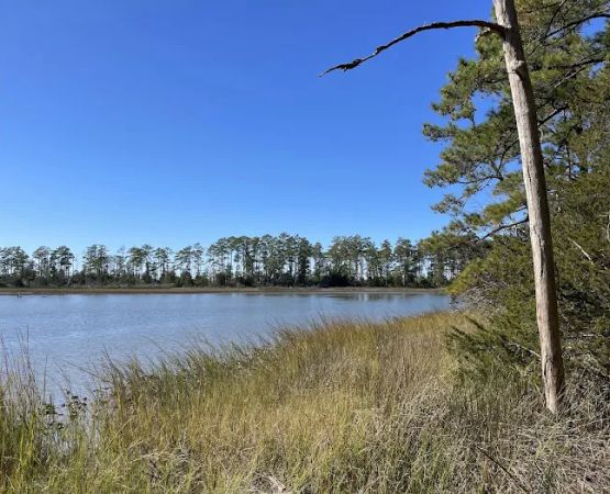 Machicomoco State Park Campground