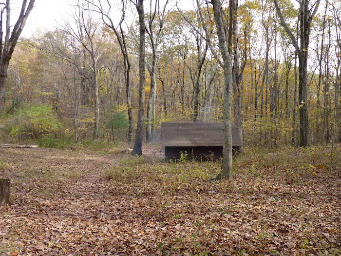 Punchbowl Shelter 2