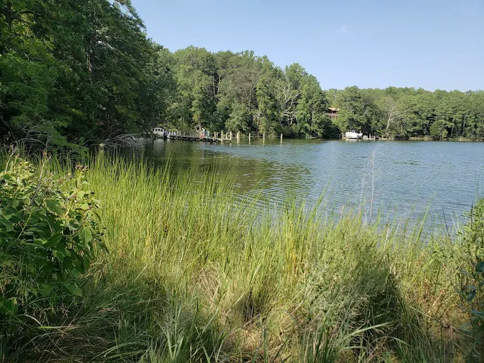 Glebe Point Campground 4