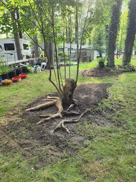 Big Timber Campground 5