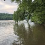 Turtle Run Hiker Biker Campsite