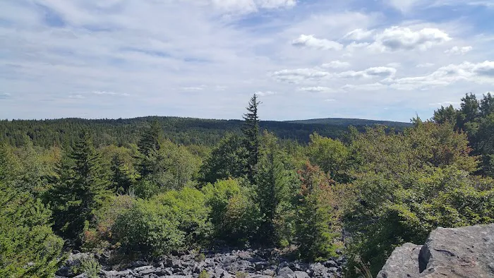 Red Creek Campground 6