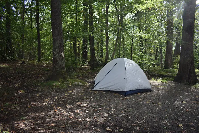 Bear Heaven Campground 0