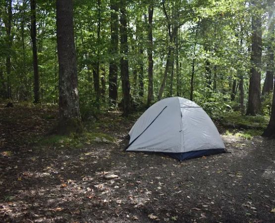 Bear Heaven Campground