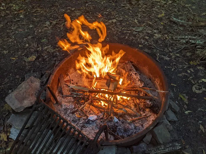Bear Heaven Campground 3