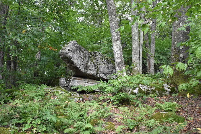 Bear Heaven Campground 4