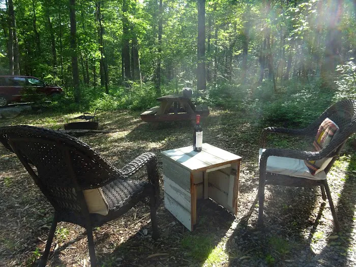 Wild Yough Glamping Huts 3