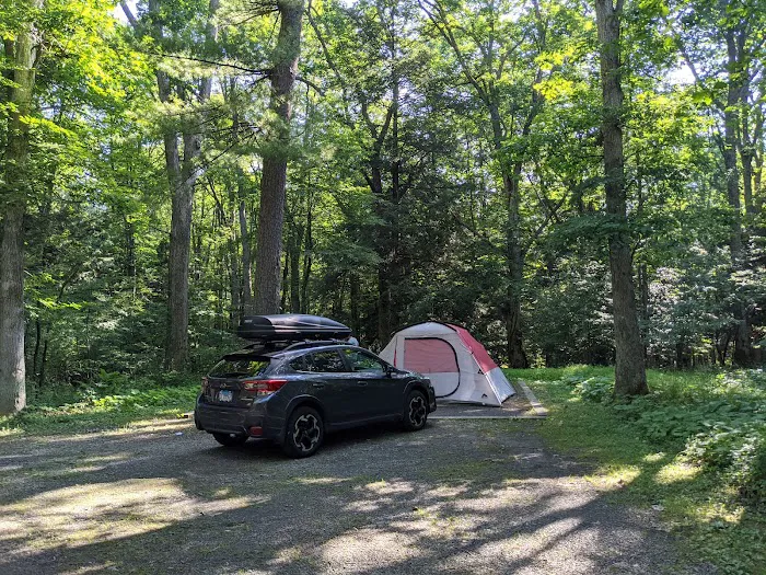Swallow Falls Campground 2