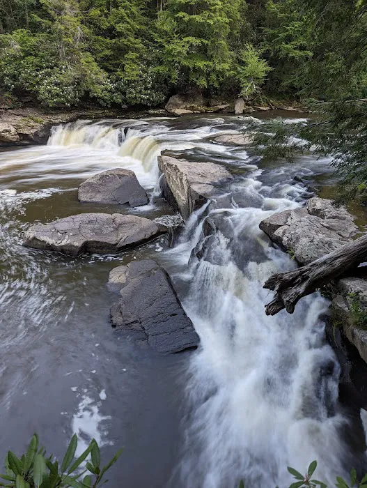 Swallow Falls Campground 1