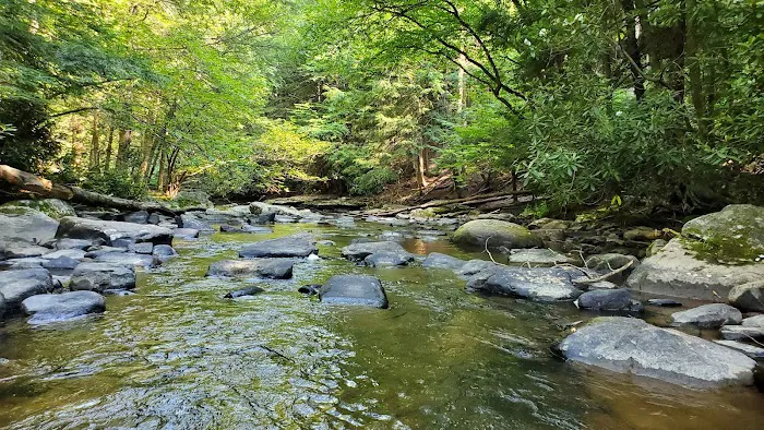Swallow Falls Campground 4