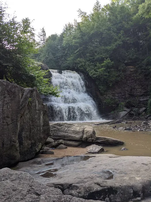 Swallow Falls Campground 5