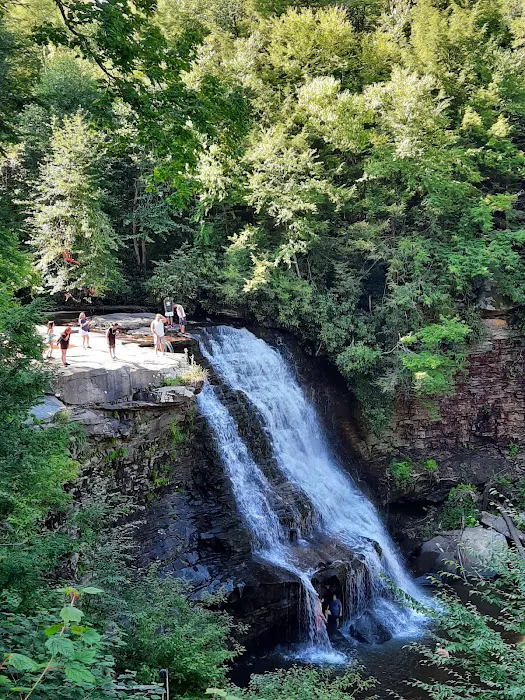 Swallow Falls Campground 8