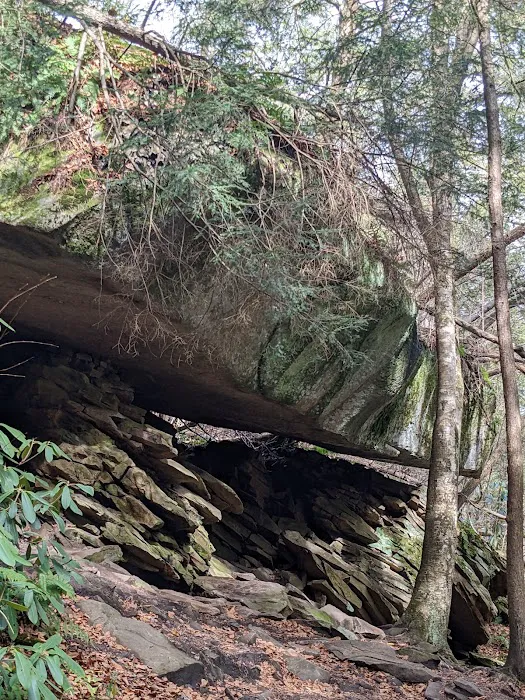 Swallow Falls Campground 7