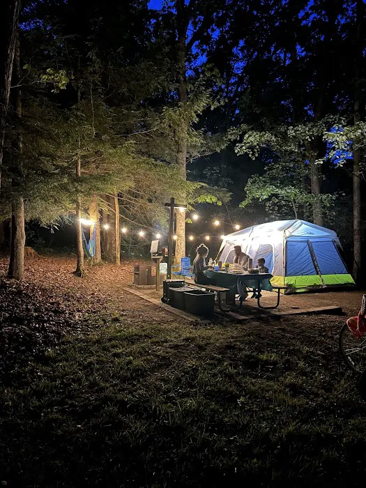 Swallow Falls Campground 6