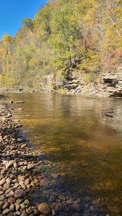 Shavers Fork Campground 7