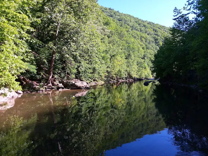 Todd and Angie's River Lot 4